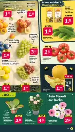Netto Prospekt woche 31 Seite 3
