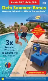 Lidl Prospekt Seite 66