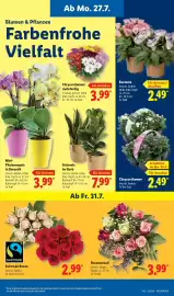 Lidl Prospekt Seite 7