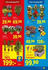 Lidl reklamblad vecka 31 Sida 19