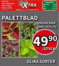 Extra Mjällby Stormarknad reklamblad vecka 30 Sida 10