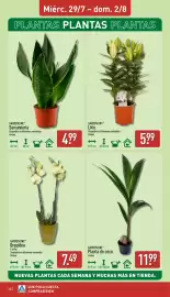 Folleto ALDI semana 31 Página 12