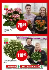 Spar kundeavis Side 13