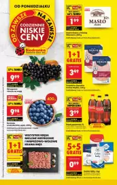 Biedronka gazetka tydzień 30 Strona 1