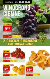 Biedronka gazetka tydzień 30 Strona 26