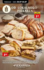Biedronka gazetka tydzień 30 Strona 42