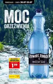 Biedronka gazetka tydzień 30 Strona 66