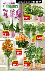 Biedronka gazetka tydzień 30 Strona 85