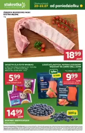 Stokrotka gazetka Strona 1