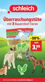 Thomas Philipps Prospekt woche 30 Seite 15