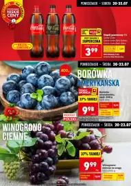 Biedronka gazetka tydzień 30 Strona 3