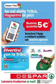 Volantino Despar Pagina 16