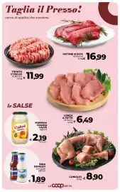 Volantino Coop Radenza Pagina 17