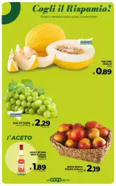 Volantino Coop Radenza Pagina 20