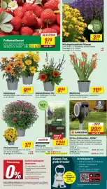 Toom Baumarkt Prospekt woche 30 Seite 6