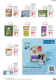 Volantino dm drogerie markt Pagina 13