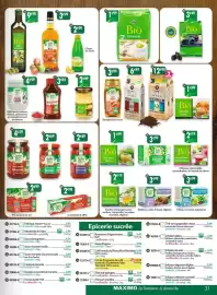 Catalogue Maximo page 31