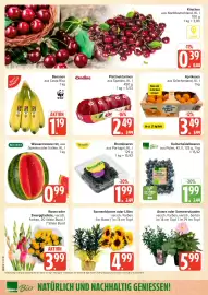 Marktkauf Prospekt woche 30 Seite 4