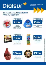 Folleto Dialsur Cash & Carry Página 1