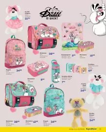 Supra Bazar folder Pagina 19