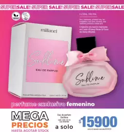 Catálogo Millanel Cosmética Página 105