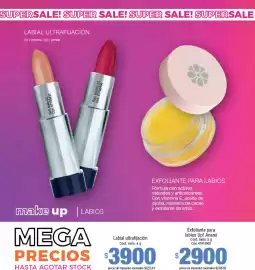 Catálogo Millanel Cosmética Página 112