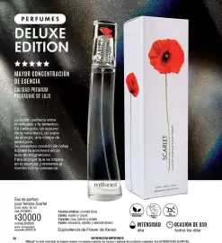 Catálogo Millanel Cosmética Página 30