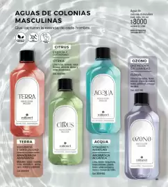 Catálogo Millanel Cosmética Página 53