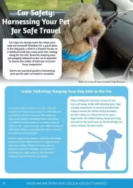 Pets Domain catalogue Page 34