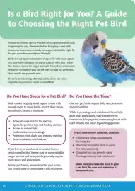 Pets Domain catalogue Page 38