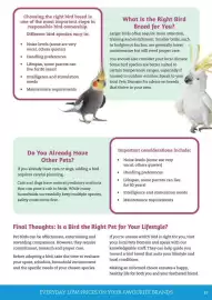 Pets Domain catalogue Page 39