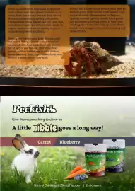 Pets Domain catalogue Page 41