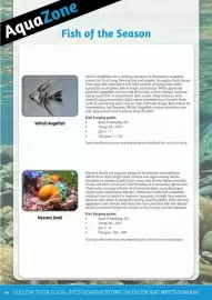 Pets Domain catalogue Page 44