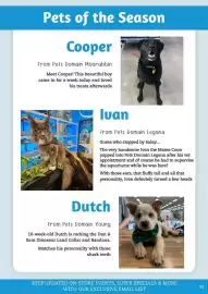 Pets Domain catalogue Page 45
