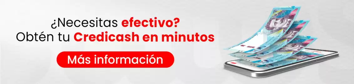 Catálogo Estilos Página 179