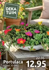 Deka Tuin folder Pagina 1