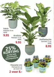 Deka Tuin folder Pagina 2