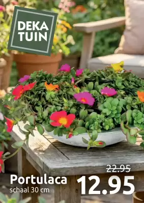 Deka Tuin (geldig t/m 2-08)