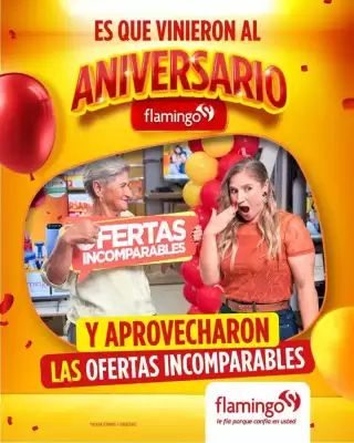 Flamingo (válido hasta 4-08)