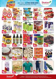 Shaklan leaflet Page 2