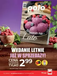 Polomarket gazetka tydzień 30 Strona 9