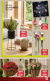 Catalog Kaufland săptămâna 30 Pagină 6