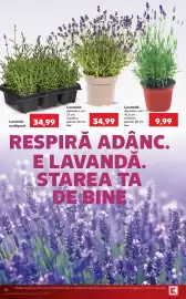 Catalog Kaufland săptămâna 30 Pagină 14