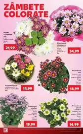 Catalog Kaufland săptămâna 30 Pagină 15