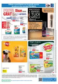 Volantino Carrefour | Punti Sprint Payback Pagina 20