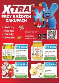 Kaufland gazetka tydzień 30 Strona 17