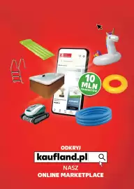 Kaufland gazetka Strona 17