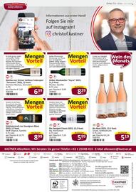 Kastner Flugblatt Seite 36