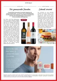 Kastner Flugblatt Seite 20