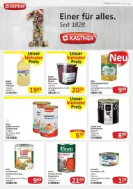 Kastner Flugblatt Seite 27